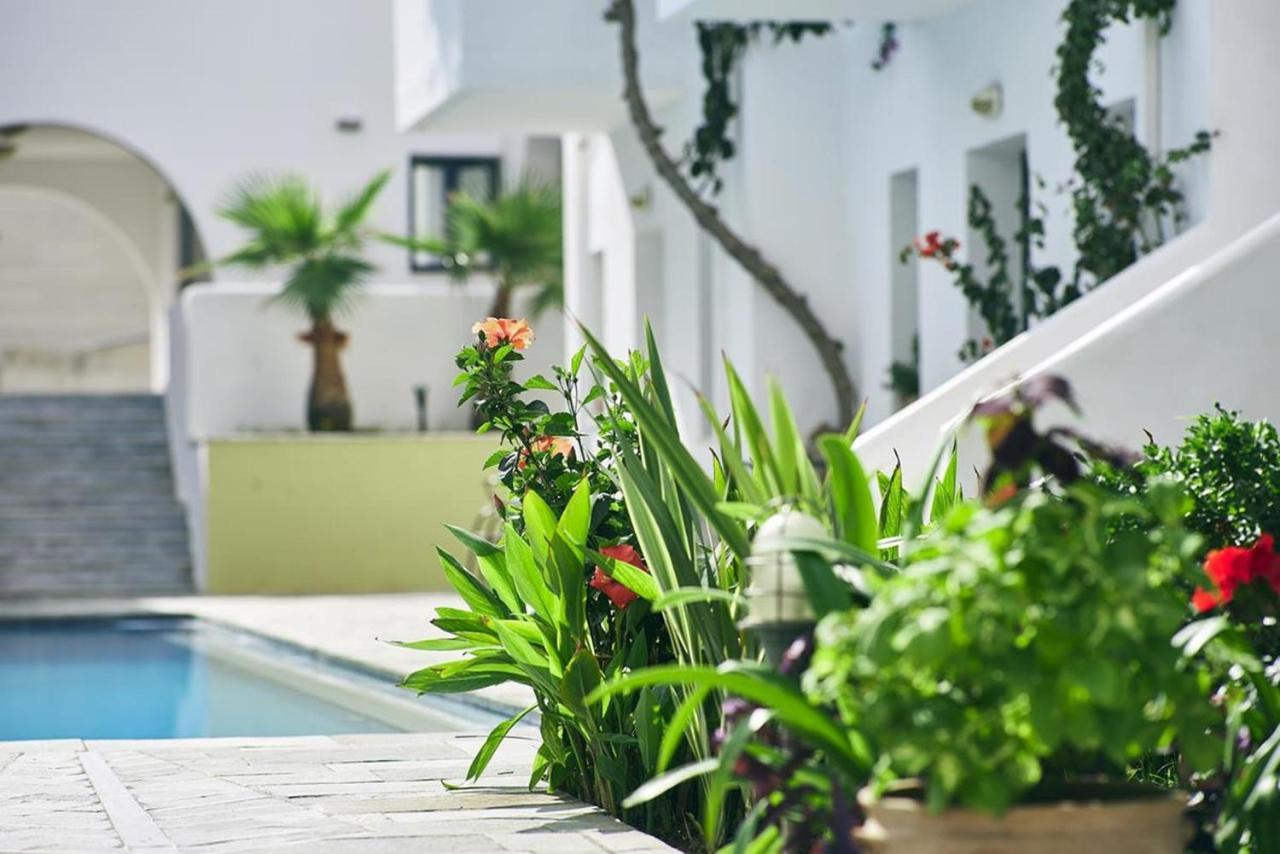 Eva Suites & Apartments Агия-Марина Экстерьер фото